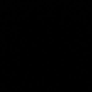 Neiman Marcus window drapes